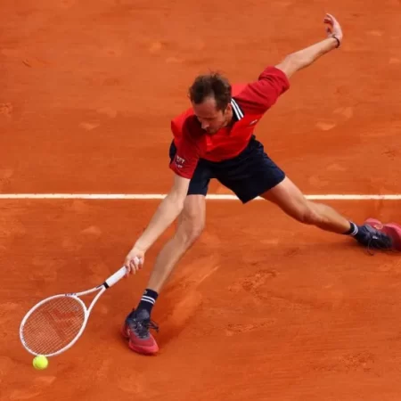 Monte Carlo Masters: Daniil Medvedev asked not to shout at line judge